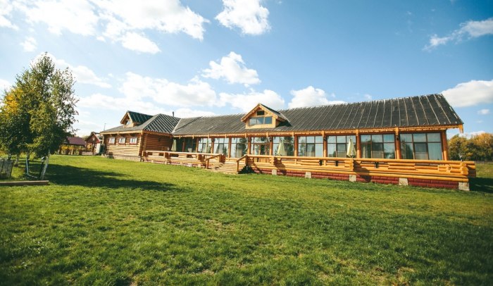 Ярославна 1б, село львы
